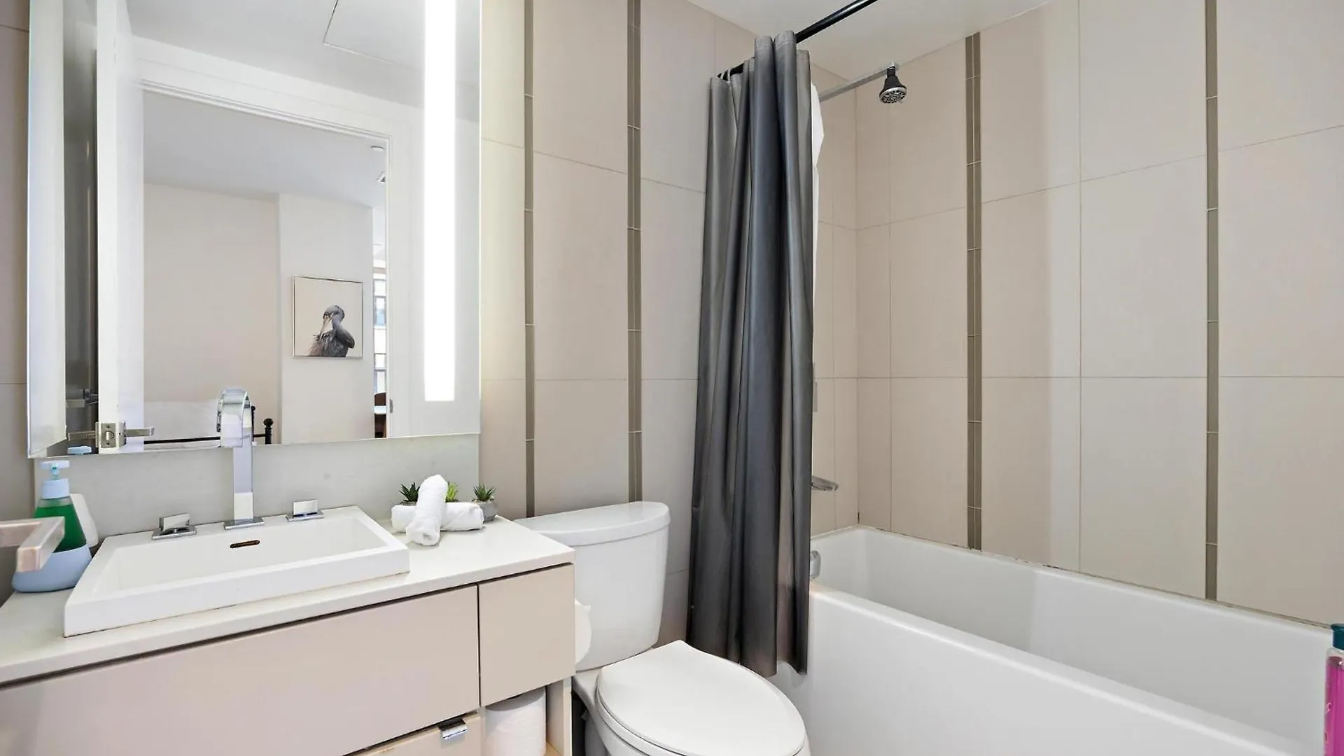 Apartment Downtown Toronto Condos Canada